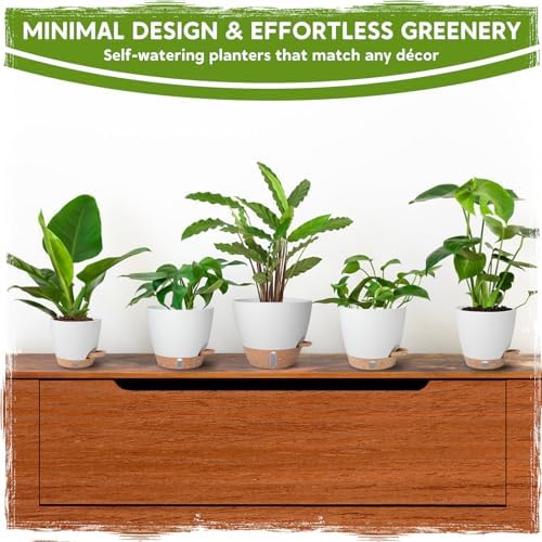 Self-Watering Pots for Indoor Plants with Visible Water Window,5/6/6.5/8/10 Inch Outdoor Flower Pots with Drainage Holes & Reservoir for Patio, Home Decor (White) - Image 5