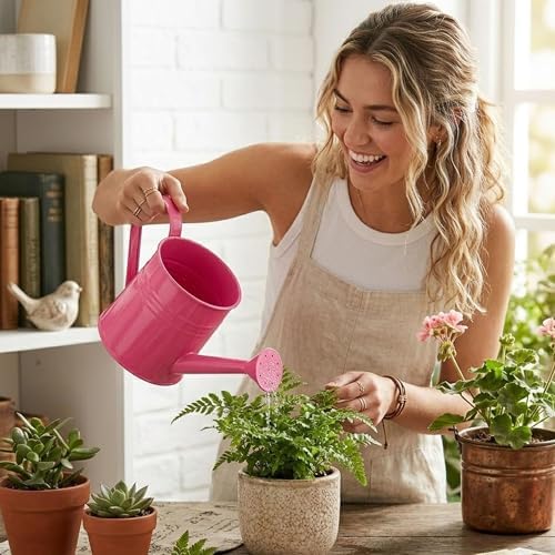 Watering Can Metal, Indoor Plant Watering Can with Long Spout (C2PCS) - Image 2