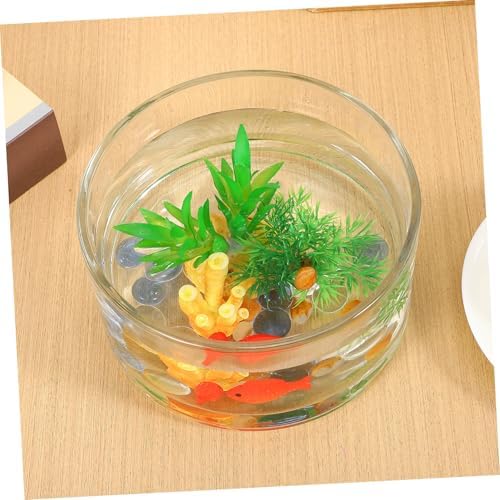 Glass Flowerpot Planter Decorative Bowl Round Vase for Hydroponic Plant Wedding - Image 5