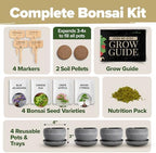 HOME GROWN Bonsai Tree Starter Kit, 4 Varieties, Indoor Gardening Gift Set - Image 2