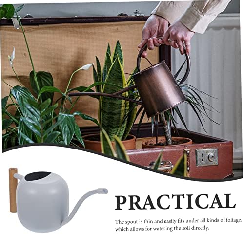 Levemolo Garden Watering Kettles Long Spout Water Sprinkler Metal Watering Can for Indoor Plants - Image 7