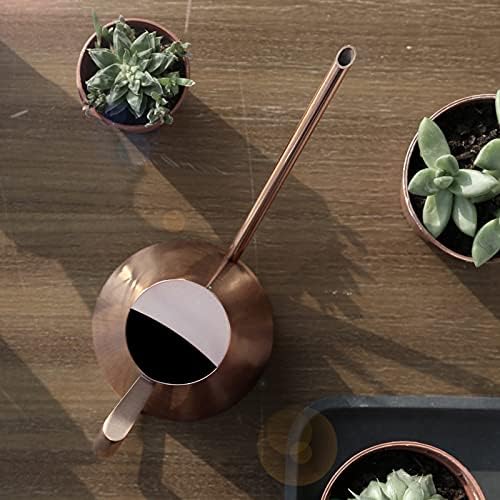 Fabater Bronze Stainless Steel Watering Can for Garden, Long Spout Watering Kettle with Ergonomic Handle, 400ml/900ml/1500ml Plant Pot for Indoor Outdoor (Large) - Image 2