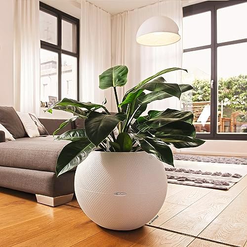 Lechuza Puro Color 50 White, Self-Watering Large Round Planter, D19.7 H15.4 in - Image 6
