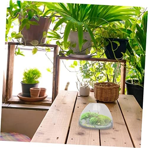 Landscape Glass Bottle Terrarium Holder for Plants Storage Container for Moss and Decor for Home and Garden Use - Image 4