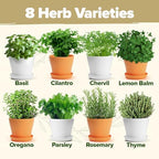 HOME GROWN 8 Herb Garden Kit, Indoor Growing Kit, Gardening Gifts for Women - Image 3
