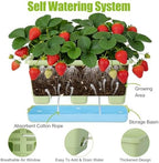 Oliz Window Box Planter 6 Packs, 13.8 Inches Rectangle Flower Pots with Drainage Holes & Trays, Pots for Vegetables, Herbs, Flowers, Garden Windowsill Balcony (Green) - Image 4