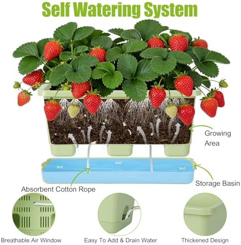 Oliz Window Box Planter 6 Packs, 13.8 Inches Rectangle Flower Pots with Drainage Holes & Trays, Pots for Vegetables, Herbs, Flowers, Garden Windowsill Balcony (Green) - Image 4