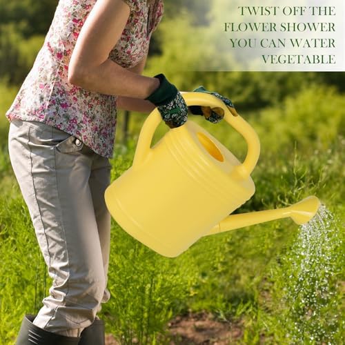 2 Gallon Watering Can for Indoor Plants, Garden Watering Cans for Outdoor Plant House Flower, Modern Plant Watering Can Large Long Spout with Sprinkler Head - Image 3