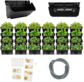 Wall Mounted Vertical Planter, 24 Pots Self Watering System for Indoor Plants, 154lbs Load Capacity Hanging Garden Wall Planter with Drainage Pipe for Balcony, Patio, Living Room Decor, Black by Unknown