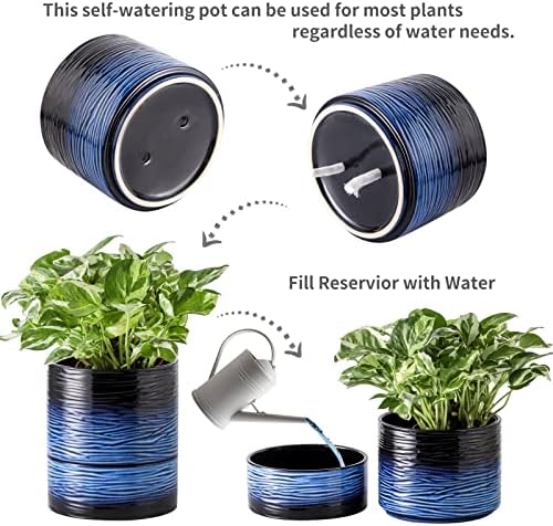 Nihow Ceramic Self Watering Plant Pot for Indoor Plants, 6 Inch,Blue - Image 3