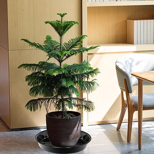 2 Pack Plant Saucer Drip Tray 17 inch, Large Heavy Sturdy Plastic Planter Flower Pot Saucers for Indoor Outdoor Garden, Plant Water Drip Trays for pots (17" 2Pack, Black) - Image 3