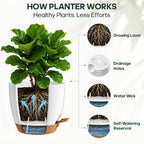 6 Size Self Watering Pots for Indoor Plants, Flower Plant Pot, White - Image 3