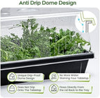 ZJP 20 Pack Heavy Duty 5" Humidity Dome for 1020 Seed Starter Trays – Clear Vented Propagation Cover & Cloning Lid for 10x20 Flats, Seed Starting & Germination - Image 4