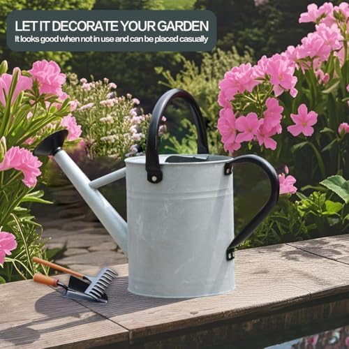 Metal Watering Can, 1 Gallon for Outdoor Garden Plants,SilverB - Image 2