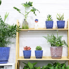 Gepege Ceramic Succulent Pots, 4 Inch Small Plant Pots with Drainage - Image 6