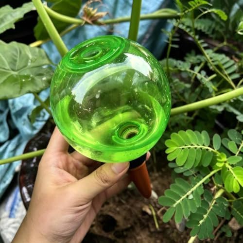 1pc Plant Self Watering Globes 500ml Drip Irrigation System (Green) - Image 4
