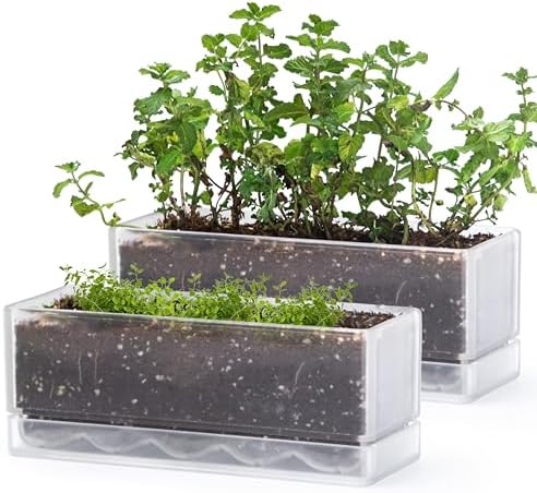 D'vine Dev 2-Pack Rectangular Planters, 12 x 4.5 in, Clear, 76-X-D-2 by DvineDevPlanterPotsandStand