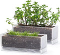 D'vine Dev 2-Pack Rectangular Planters, 12 x 4.5 in, Clear, 76-X-D-2 by DvineDevPlanterPotsandStand