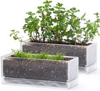 D'vine Dev 2-Pack Rectangular Planters, 12 x 4.5 in, Clear, 76-X-D-2 by DvineDevPlanterPotsandStand