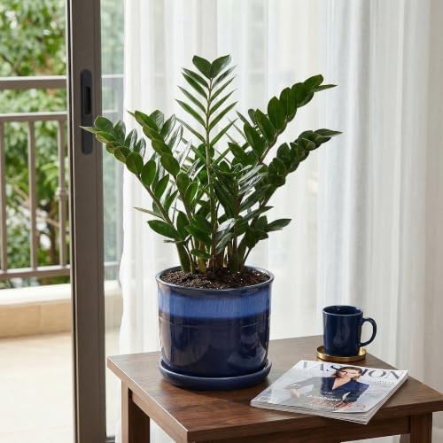 8 Inch Plant Pot: Ceramic Planter with Drainage Hole & Saucer - Flowerpot for Indoor & Outdoor Plants with Separate Tray for Home & Office - Blue - Image 3