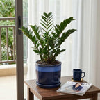 8 Inch Plant Pot: Ceramic Planter with Drainage Hole & Saucer - Flowerpot for Indoor & Outdoor Plants with Separate Tray for Home & Office - Blue - Image 3