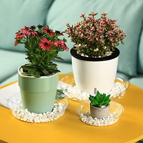 50 Packs 14" Large Clear Plant Saucers for Indoor Outdoor Use Heavy Duty Plastic Plant Trays for Planter Bulk Flower Pot Drip Trays to Catch Water, 4 to 20 Inch - Image 6