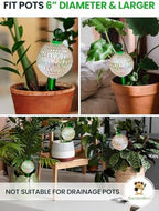 3pc 16 Oz Plant Watering Globes Large Self Watering Globes For Indoor Plant - Image 5
