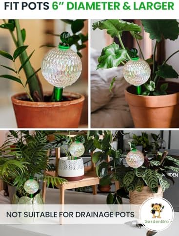 3pc 16 Oz Plant Watering Globes Large Self Watering Globes For Indoor Plant - Image 5