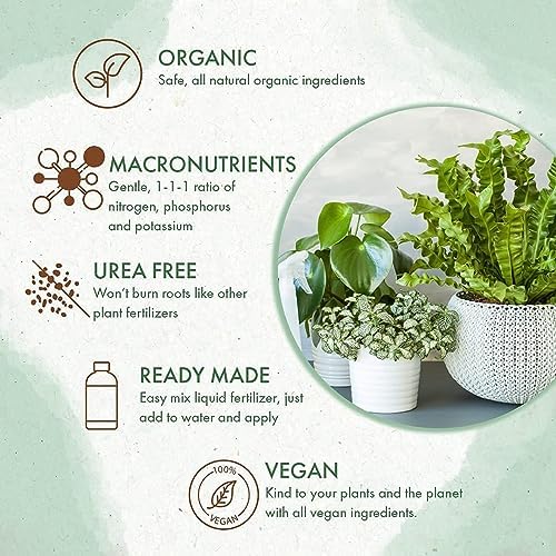 Organic Indoor Plant Food - All-Purpose Liquid Fertilizer - Best for Live Houseplants Indoors + Common Home Outdoor Plants in Pots (8 oz) (Pack of 2) - Image 5