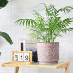 8 Inch + 6 Inch Plant Pot with Drainage Holes and Saucers, Indoor Ceramic Planter for Plants Succulent Orchid Flower Pots - Image 7