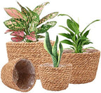 Seagrass Planter Basket Stylish Planter Baskets, Set of 4 by Ufrount