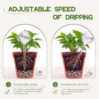 12 Pcs Glass Self Watering Globe Iridescent Rainbow Plant Watering Globe - Image 5