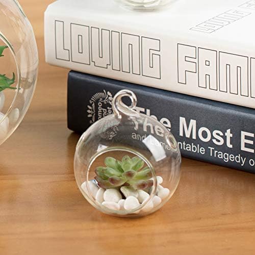 WGV Hanging Terrarium Globe, Width 2.5", Height 3", DIY Air Succulent Planter, Clear Glass Vase Orb with Flat Bottom, Candle Holder for Windowsill Outdoor Garden Decor, 6 Pieces Bulk - Image 5