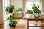 Hanging Planters, 3-Pack 10 Inch Self-Watering Pots with Drainage Holes and Chains, Matte Plastic Planters for Indoor/Outdoor Plant（Green Brown） - Image 5