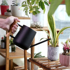 Indoor Watering Can with Long Spout, 16oz Metal Watering Can Plant Watering Can Mini Watering Can with Wood Handle for Indoor Plants, Bonsai Outdoor Garden Flower (Black) - Image 5