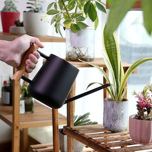 Indoor Watering Can with Long Spout, 16oz Metal Watering Can Plant Watering Can Mini Watering Can with Wood Handle for Indoor Plants, Bonsai Outdoor Garden Flower (Black) - Image 5