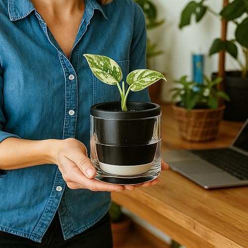 D'vine Dev Self-Watering Black Terracotta Planter, 4 in, 4-Pack, 37-Z-A-3-F - Image 2