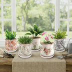 Ceramic-Planters-for-Indoor-Plants with Saucer, 6 inch Vintage Ice Crackle Glaze Plant Pots with Drainage Holes, Decorative Flower Pots for Outdoor Garden Home Decor, Tuscan Pot for Plant - Image 7
