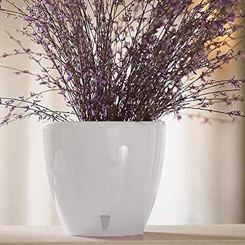 DECOPOTS - Self Watering Planter - Indoor Decorative Flower Pot with Drainage Cartridge and Water Level Indicator (Diameter 11.2", Transparent) - Image 2
