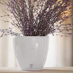 DECOPOTS - Self Watering Planter - Indoor Decorative Flower Pot with Drainage Cartridge and Water Level Indicator (Diameter 11.2", Transparent) - Image 2