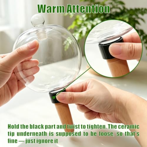 6 Pack 26oz Extra Large Self Watering Globes with 2 Brushes - Image 3