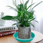 4 Pack of 14 inch Plant Saucers Bird Bath Bow Round, Plastic Plant Saucer Tray for Pots, White Planters for Indoor Plants, Plant Trays for Planter 12-15" (14", Teal) - Image 7
