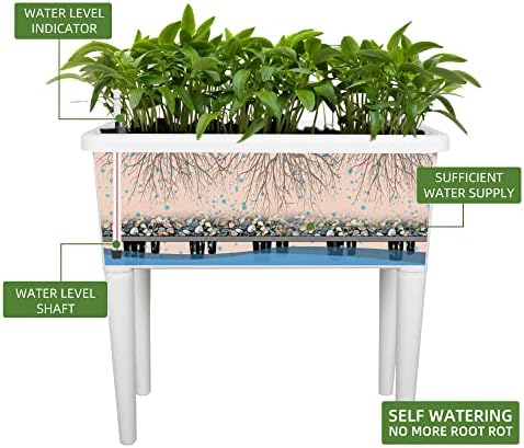 Dexceder 13.2 Gallon Self Watering Raised Garden Bed (White) - Image 2