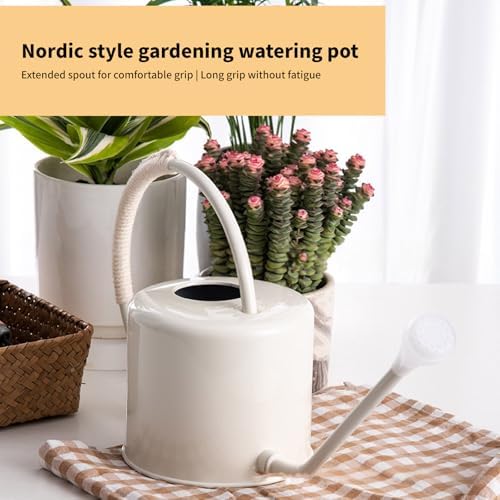 Indoor Watering Can for House Plant Stainless Steel Watering Can Metal with Long Spout Indoor Plant Pots 1300ml - Image 5