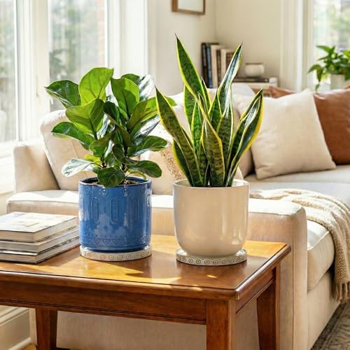 Eightpot 2 Pack Ceramic Plant Saucer, 7.5 Inch Plant Trays for Pots, Round Plant Plates to Catch Water for Indoor Outdoor, Modern Plant Dishes to Catch Water, Decorative Flower Pot Trays, Cream White - Image 4