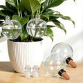 ZephyrBloom 19 Oz Large Self Watering Plant Watering Globes, Water Globes & Watering Bulbs for Indoor Outdoor Plants, Plant Water Feeders for All Plants While Away and Vacation Watering 4-Pack by Unknown