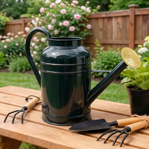 2.3 Gallon Galvanized Iron Watering Can, Dark Green Metal Garden Watering Pot with Gold Nozzle & Removable Spout for Indoor Outdoor Plants - Image 6