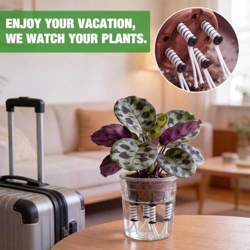 80 Pack Self Watering Spikes with Wick Rope and Label, Spiral - Image 6