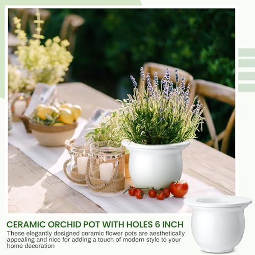 Suclain 2 Pack Ceramic Self Watering Plant Pot African Violet Pots Self Watering Indoor Flower Pot Efficiently Store Water for at Least One Week Modern Decor Gift(White,6.5 Inch) - Image 4