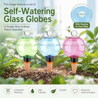 Automatic Plant Watering Globes Top Fill Automatic Houseplant Drip - Image 6